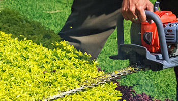 Residential and Commercial Landscaping Maintenance in WNY